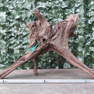 Red Wood x 6000gr