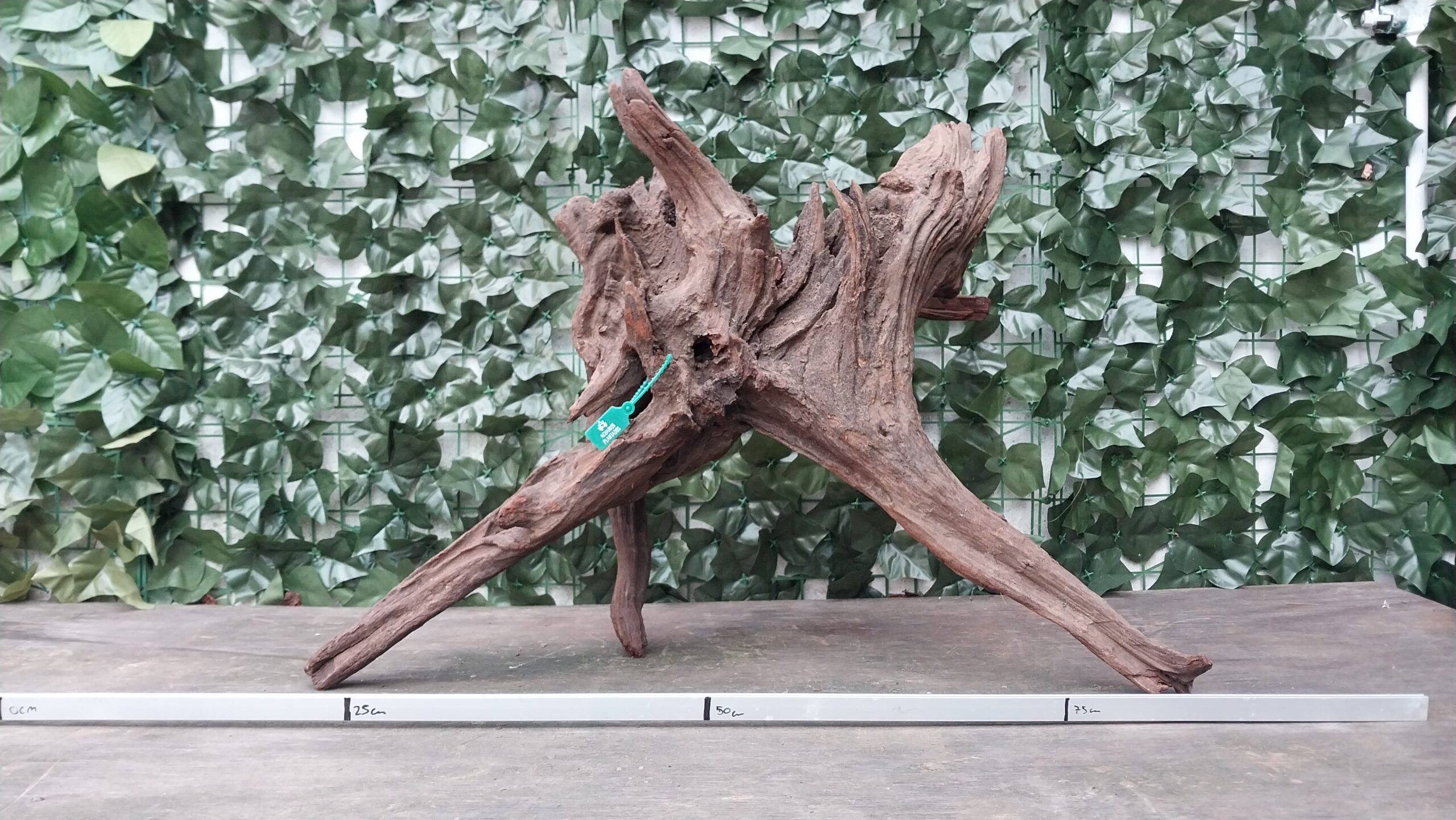 Red Wood x 6000gr
